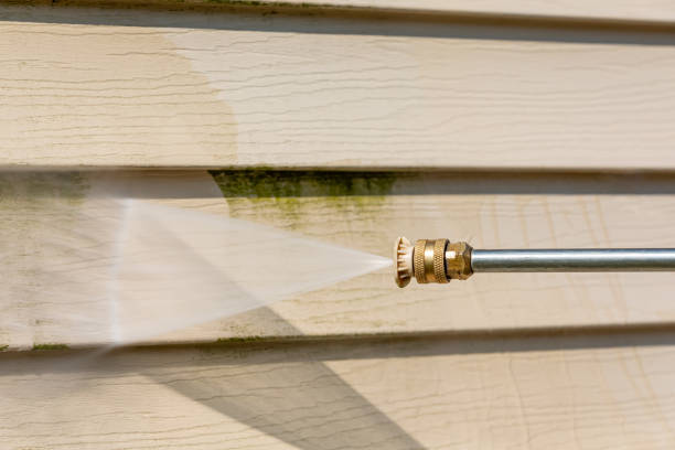 Best Local Pressure Washing Services  in Springfield, MI